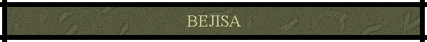 BEJISA