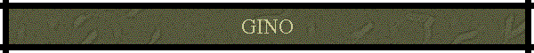 GINO