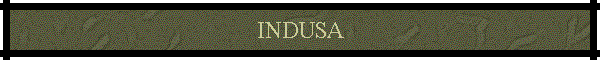 INDUSA